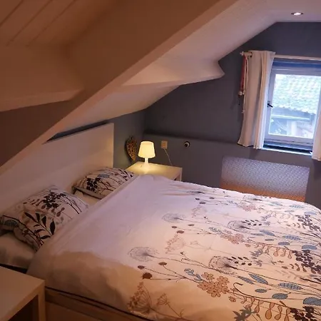 Bergerhof De Schuur *