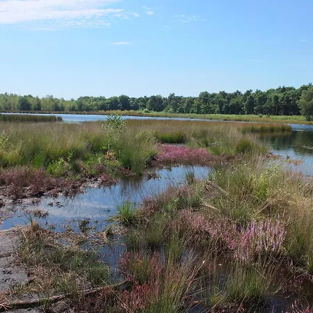 Bergerhof De Schuur Апартаменты *