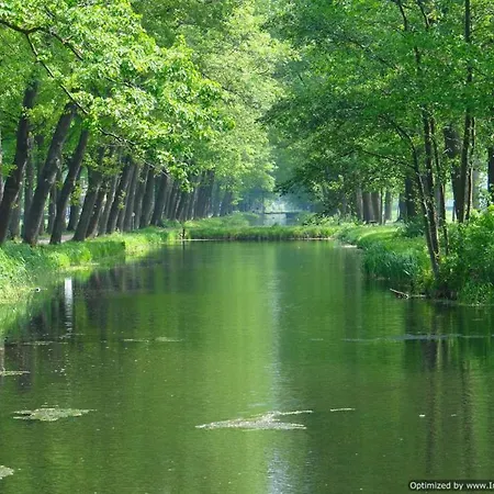 Bergerhof De Schuur 아파트 *