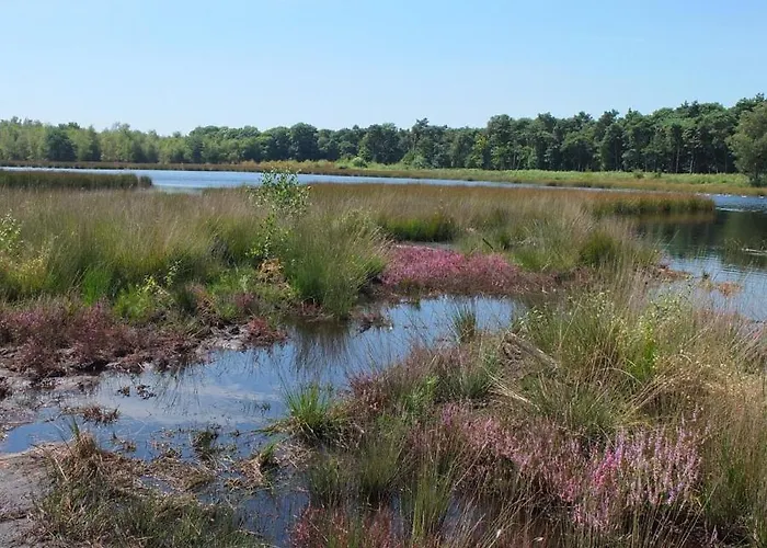 Bergerhof De Schuur شقة *